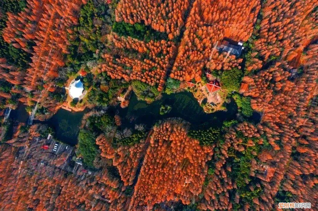 欢乐谷票价多少！