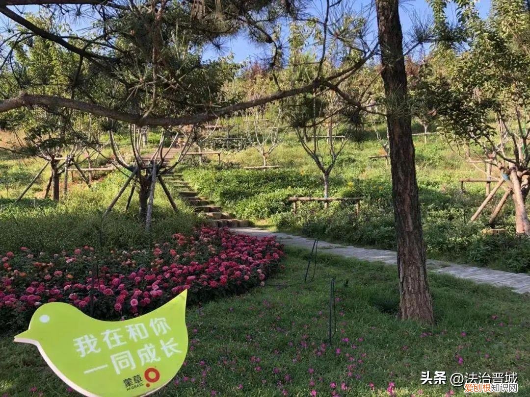 晋城白马寺简介