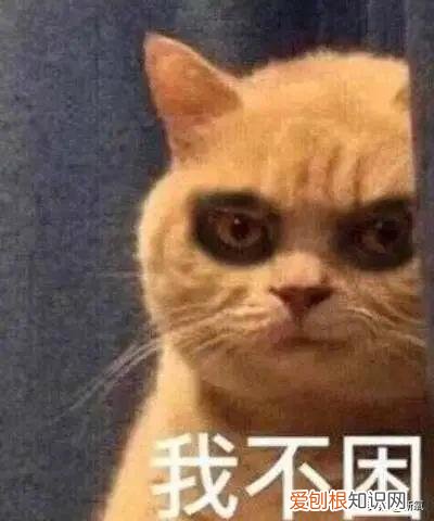 微针美塑和微针的区别