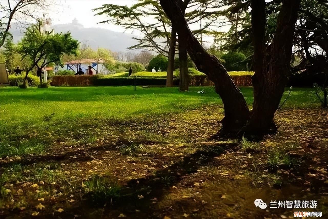 兰州小西湖事件