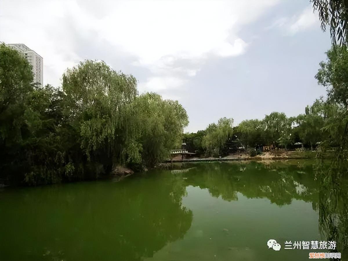 兰州小西湖事件