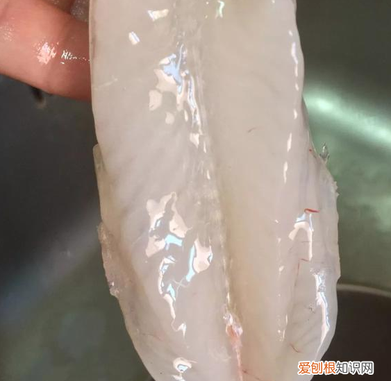 潮汕鱼册怎么吃，怎么做潮汕九肚鱼饼