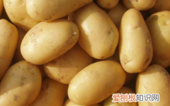 晚上切好的土豆丝怎么保存