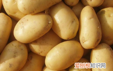 晚上切好的土豆丝怎么保存