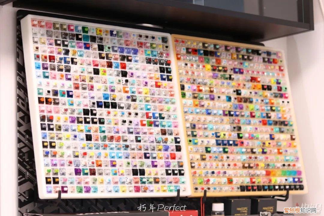 试轴器是什么东西