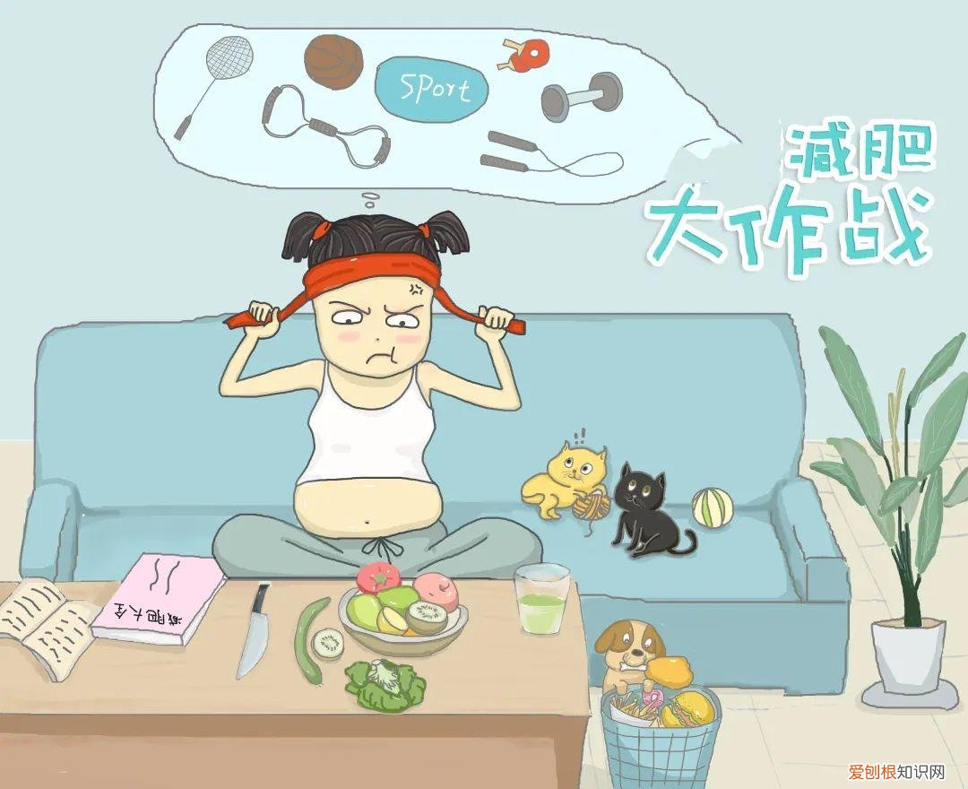 阿特金斯减肥法!