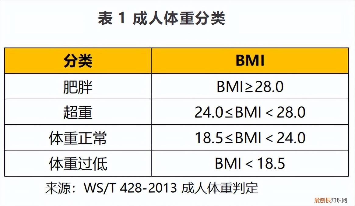 阿特金斯减肥法!