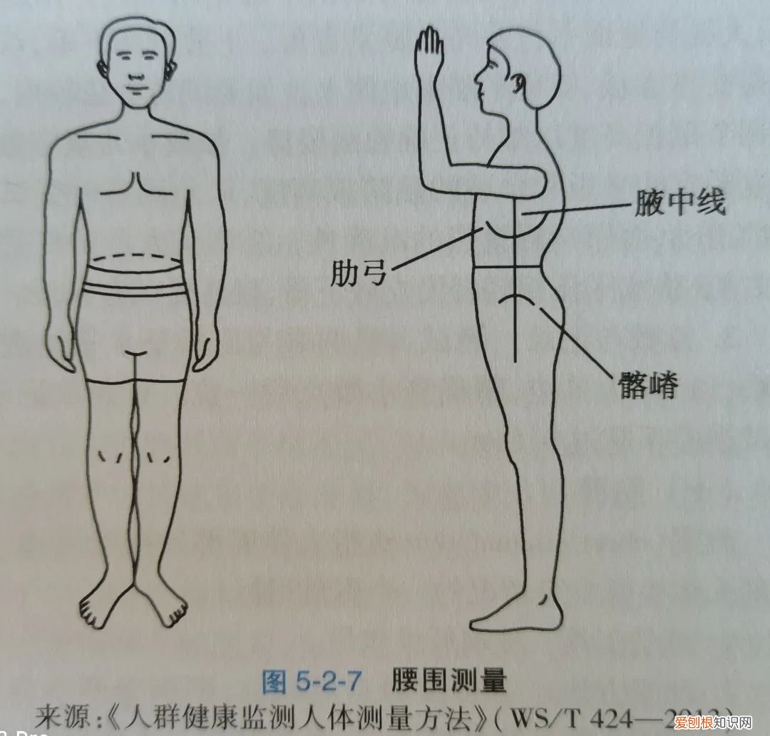 阿特金斯减肥法!