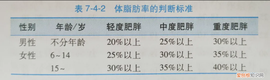 阿特金斯减肥法!
