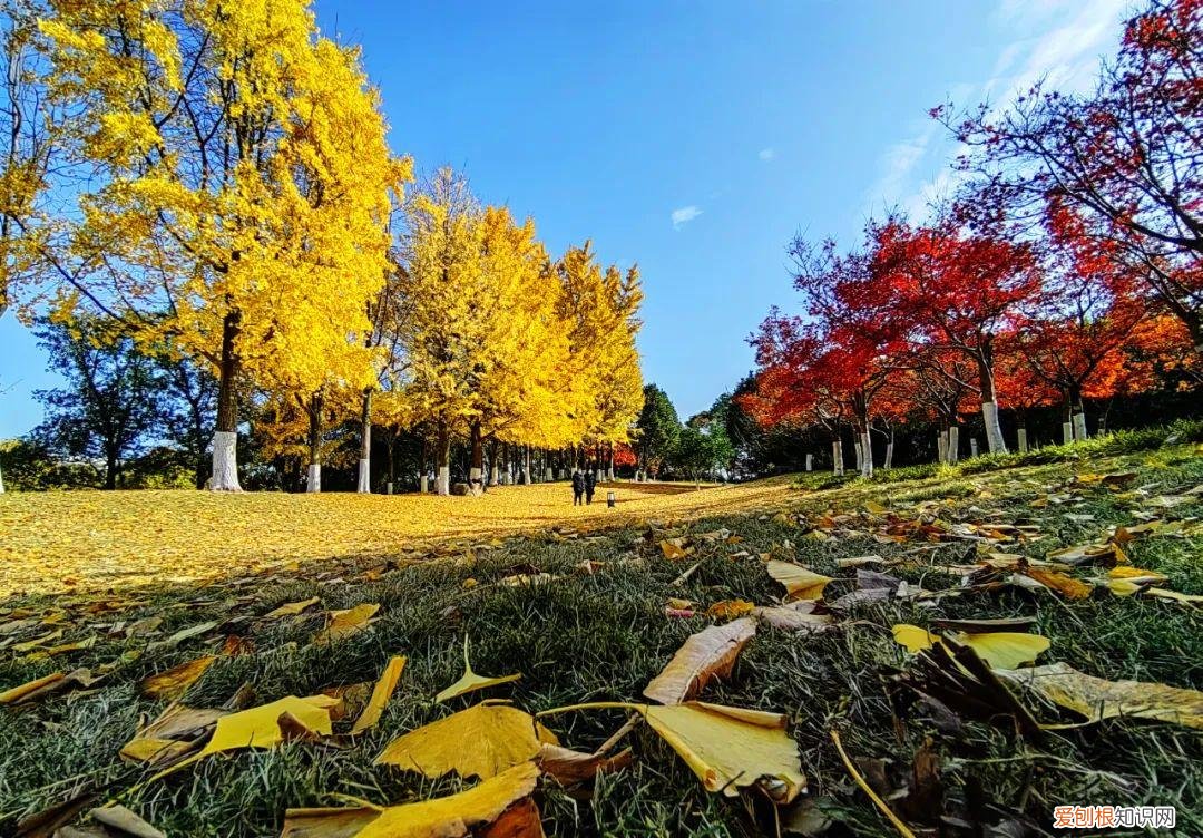 杭州有哪些好玩的地方 ！