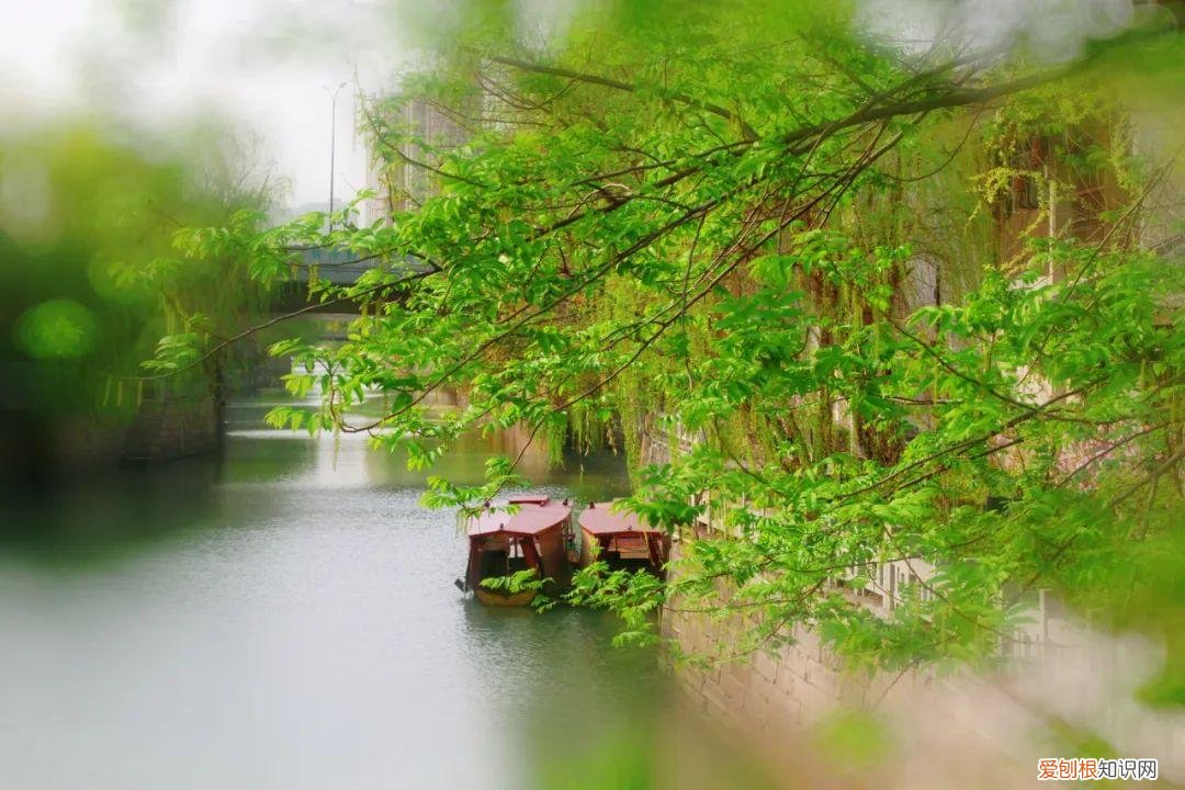 杭州有哪些好玩的地方 ！