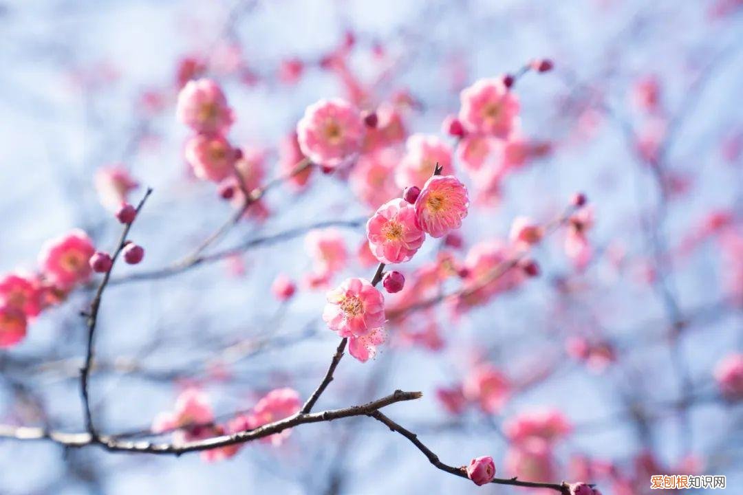 杭州有哪些好玩的地方 ！