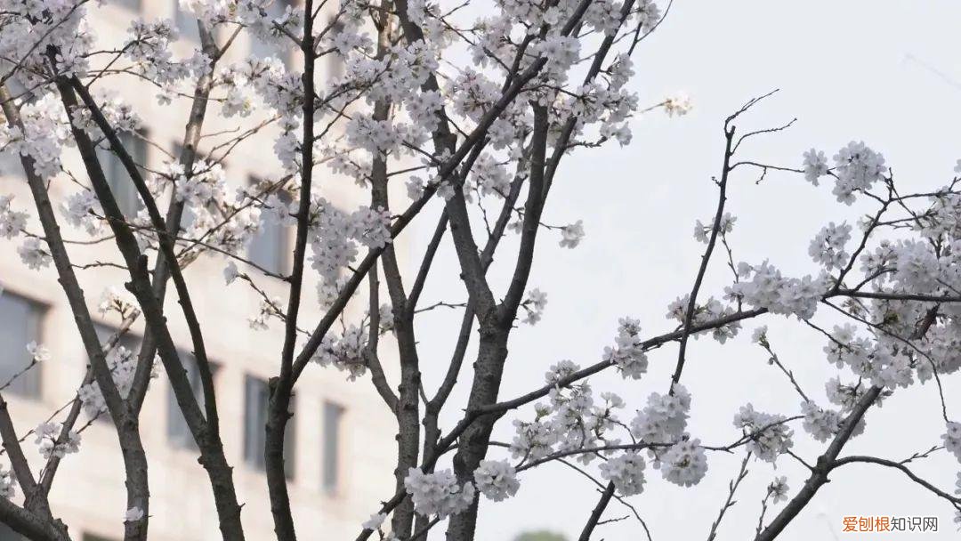 杭州有哪些好玩的地方 ！