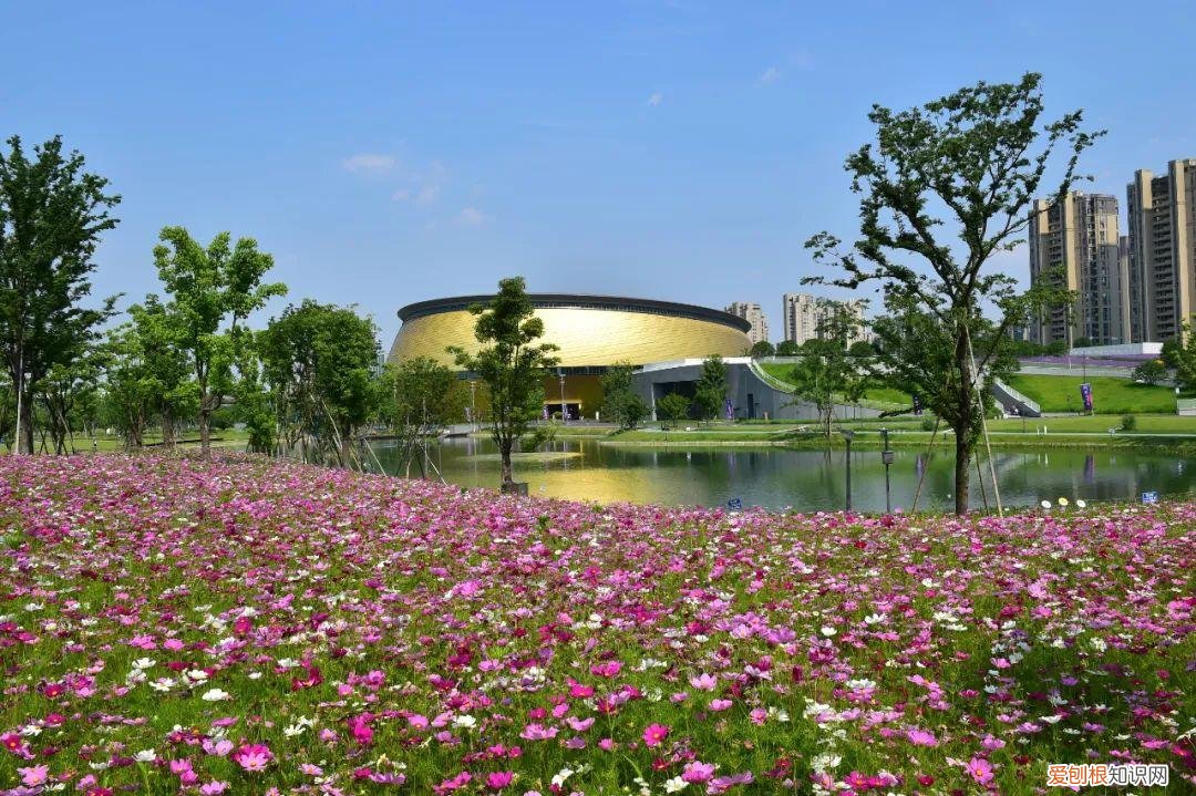 杭州有哪些好玩的地方 ！