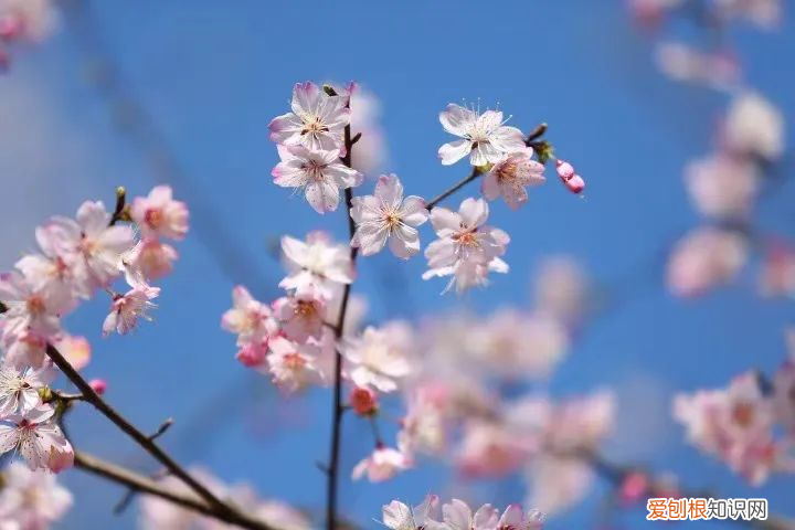 杭州有哪些好玩的地方 ！