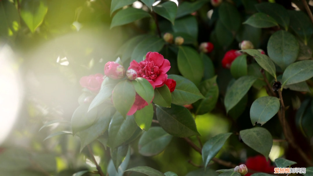 杭州有哪些好玩的地方 ！