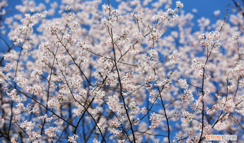 杭州有哪些好玩的地方 ！