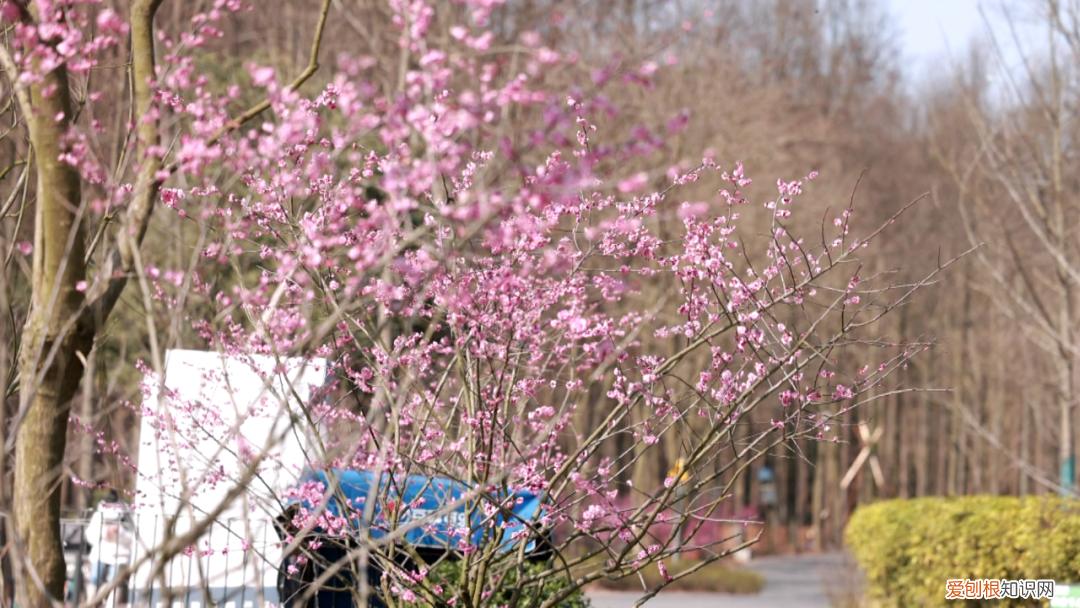 杭州有哪些好玩的地方 ！