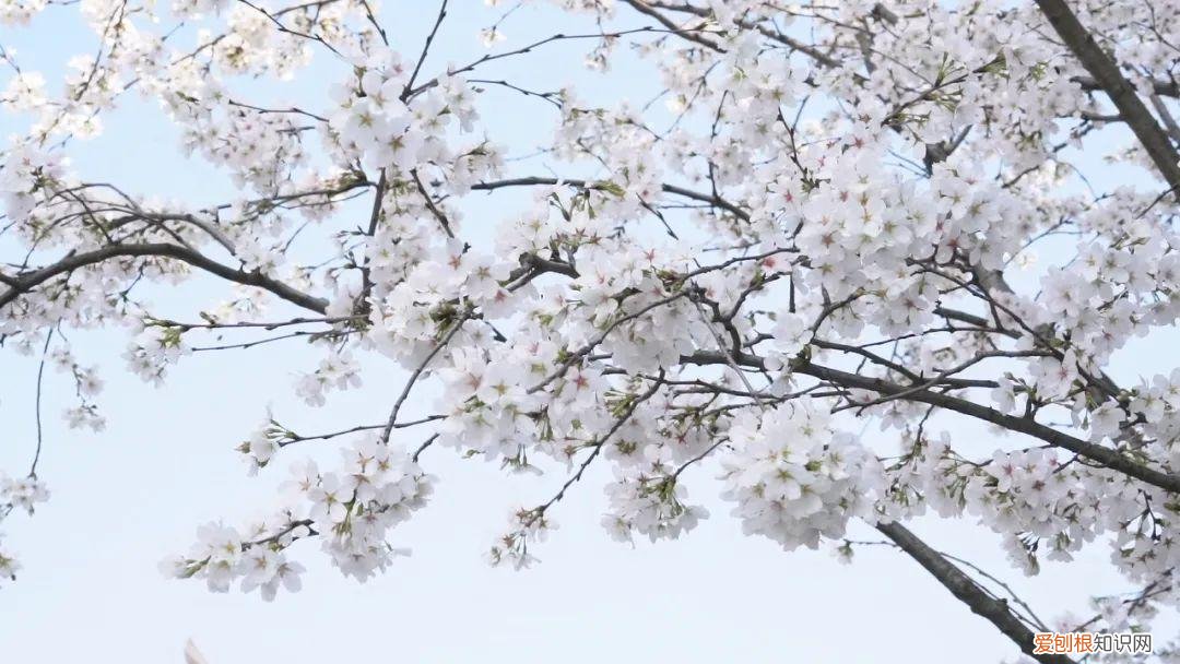 杭州有哪些好玩的地方 ！