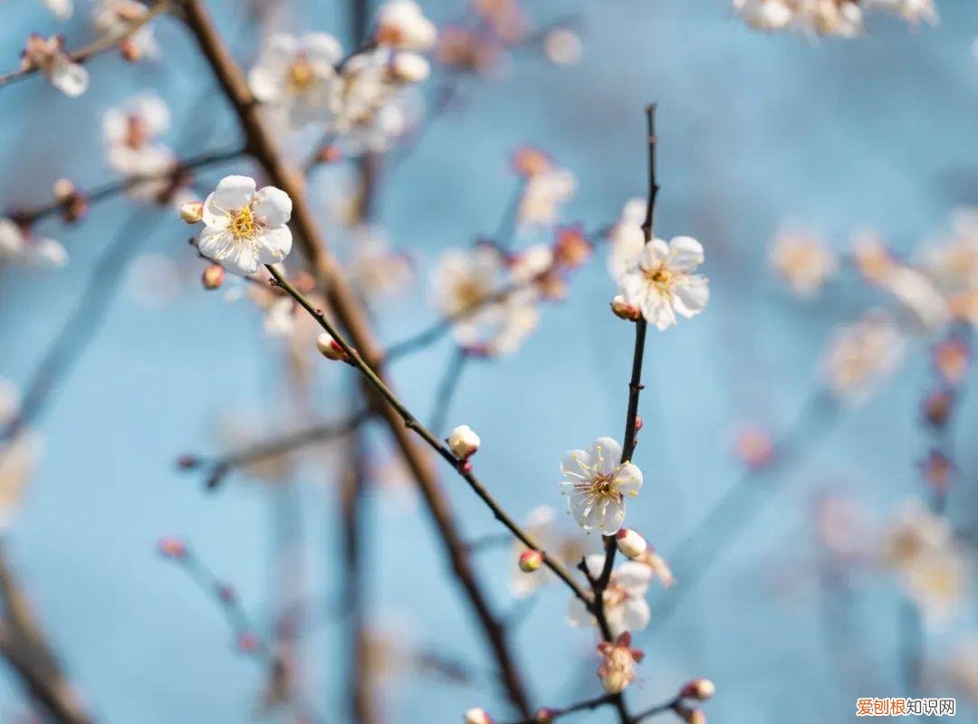 杭州有哪些好玩的地方 ！