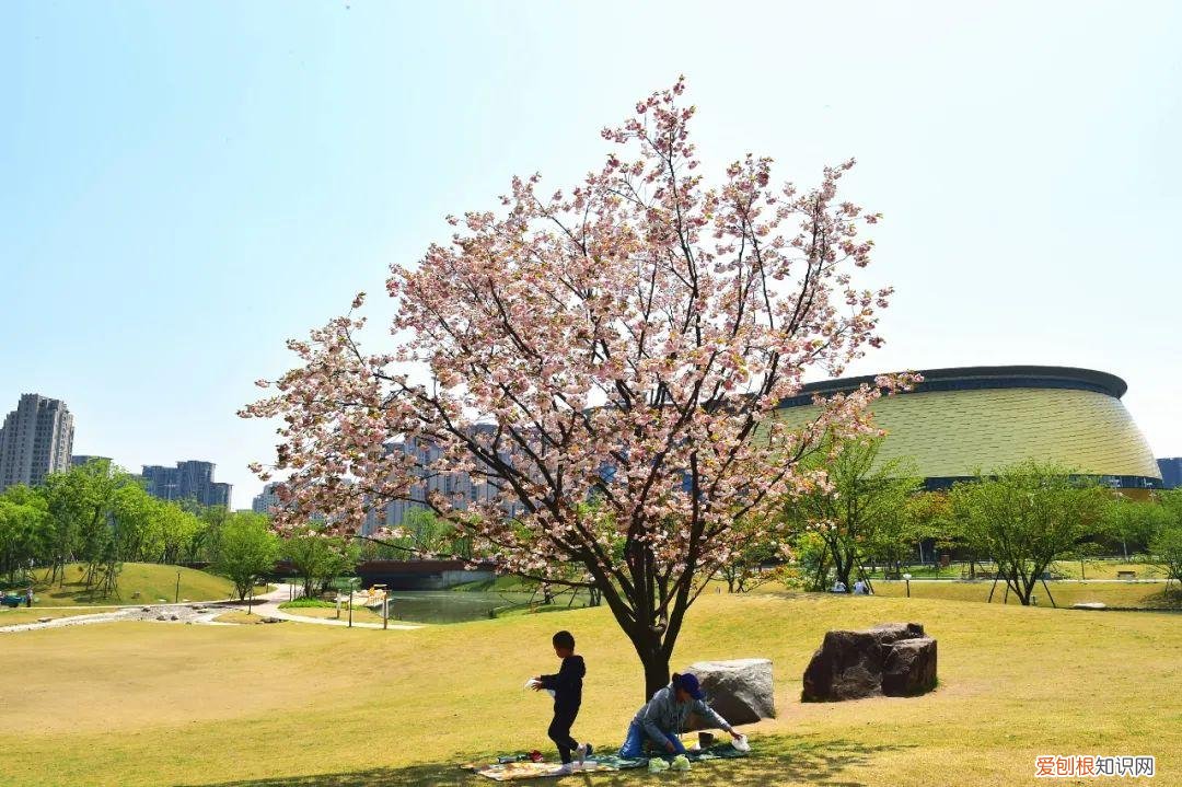 杭州有哪些好玩的地方 ！