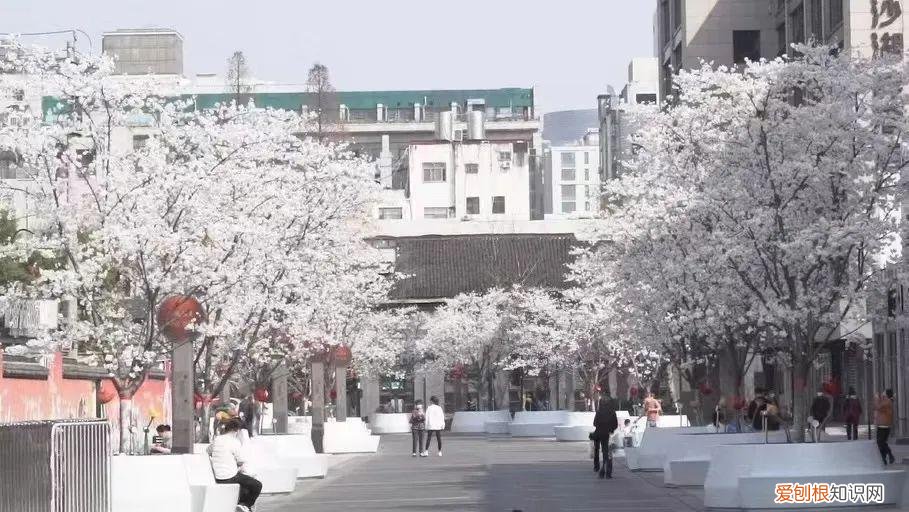 杭州有哪些好玩的地方 ！