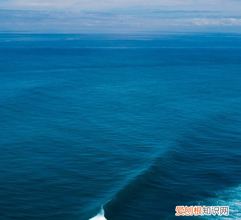 海水有甜分吗，海水苦泪水甜