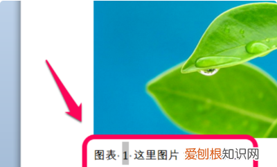 word文档的插图清单怎么自动生成