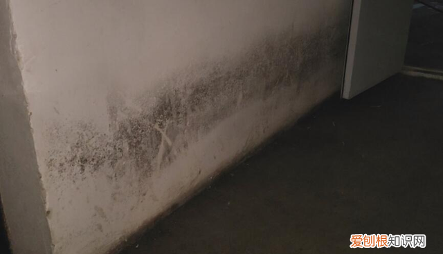 壹点帮办｜水岸佳苑地下车库冒“喷泉”，物业公司：将点对点堵漏