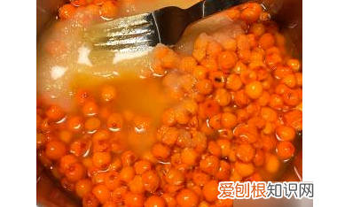 自制沙棘汁的做法窍门,在家自制沙棘汁的做法