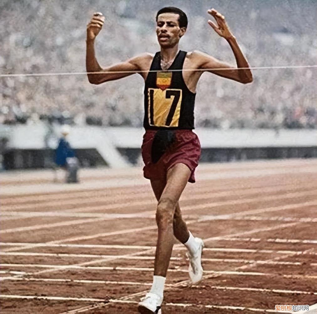 跑鞋之王是哪个品牌