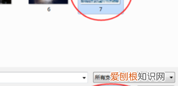 pdf需要咋得才能插入