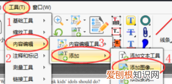 pdf需要咋得才能插入