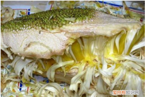 菠萝蜜怎么剥皮