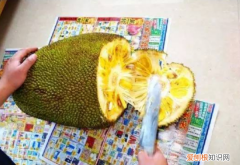 菠萝蜜怎么剥皮