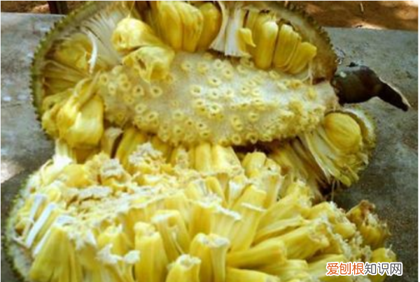 菠萝蜜怎么剥皮