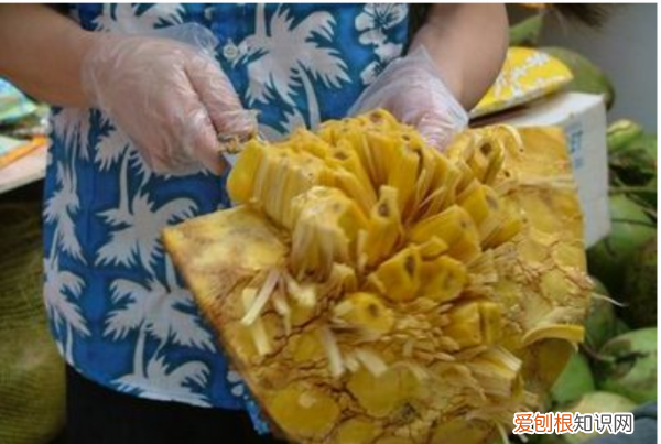 菠萝蜜怎么剥皮