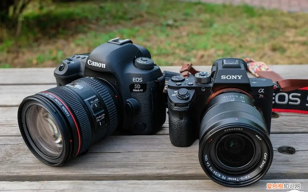 佳能单反相机型号排名及价格