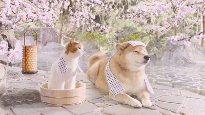 清远温泉度假别墅哪里的最好