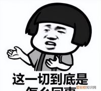 车祸过错方已经死亡子女要怎么赔