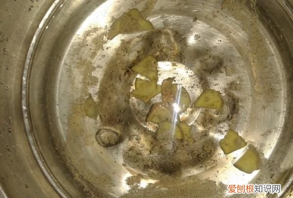 茶树菇煲老母鸡的做法，教你怎么做茶树菇炖老母鸡汤