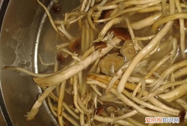 茶树菇煲老母鸡的做法，教你怎么做茶树菇炖老母鸡汤