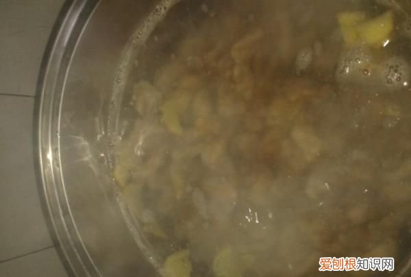 茶树菇煲老母鸡的做法，教你怎么做茶树菇炖老母鸡汤