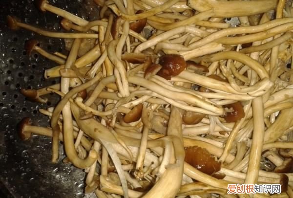 茶树菇煲老母鸡的做法，教你怎么做茶树菇炖老母鸡汤