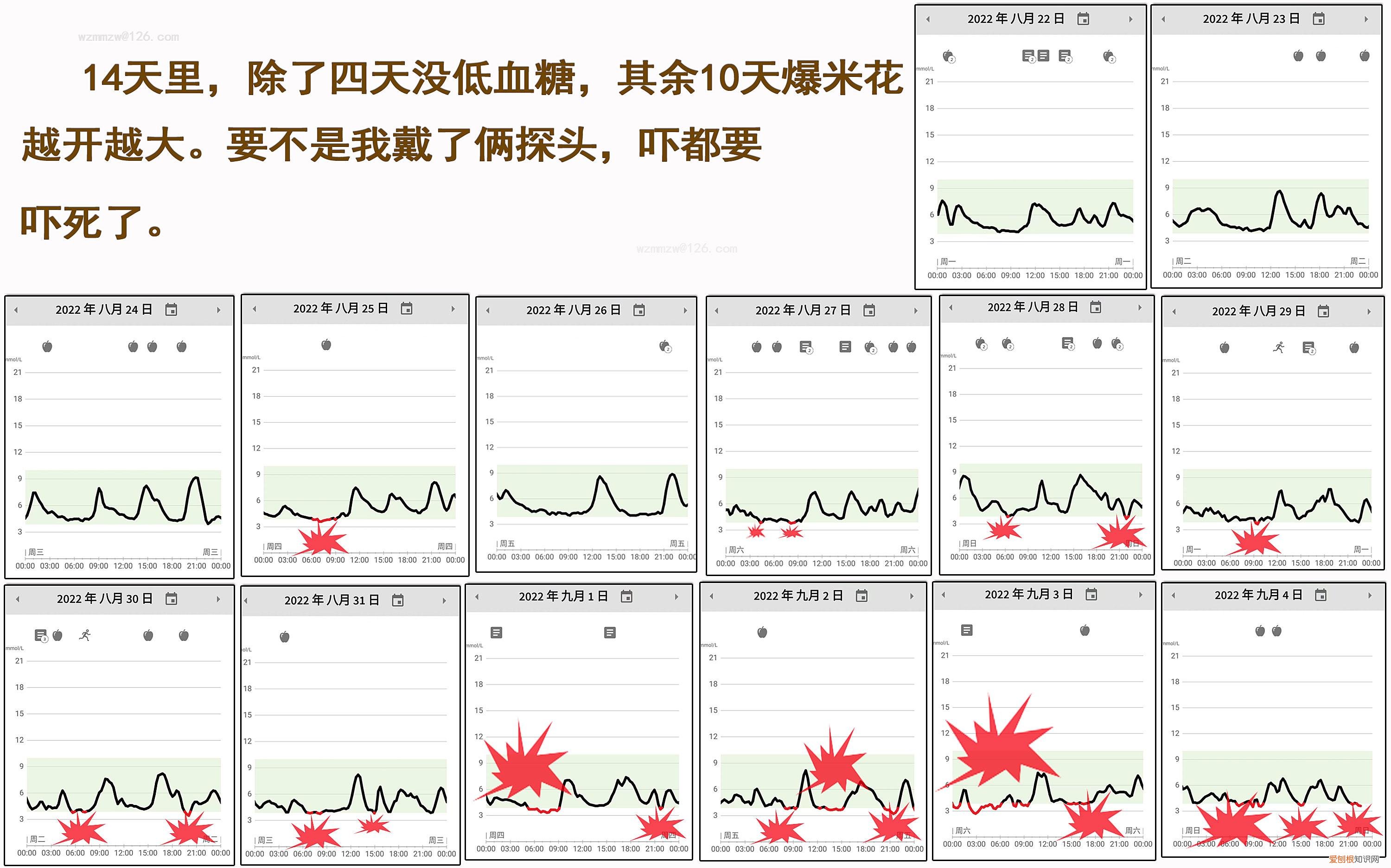 首次使用动态测糖仪要注意哪些问题