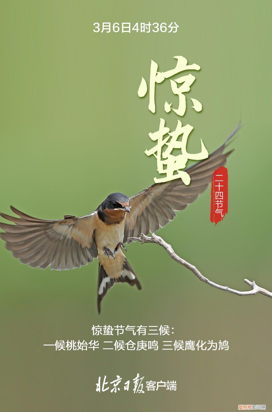 今日惊蛰！
