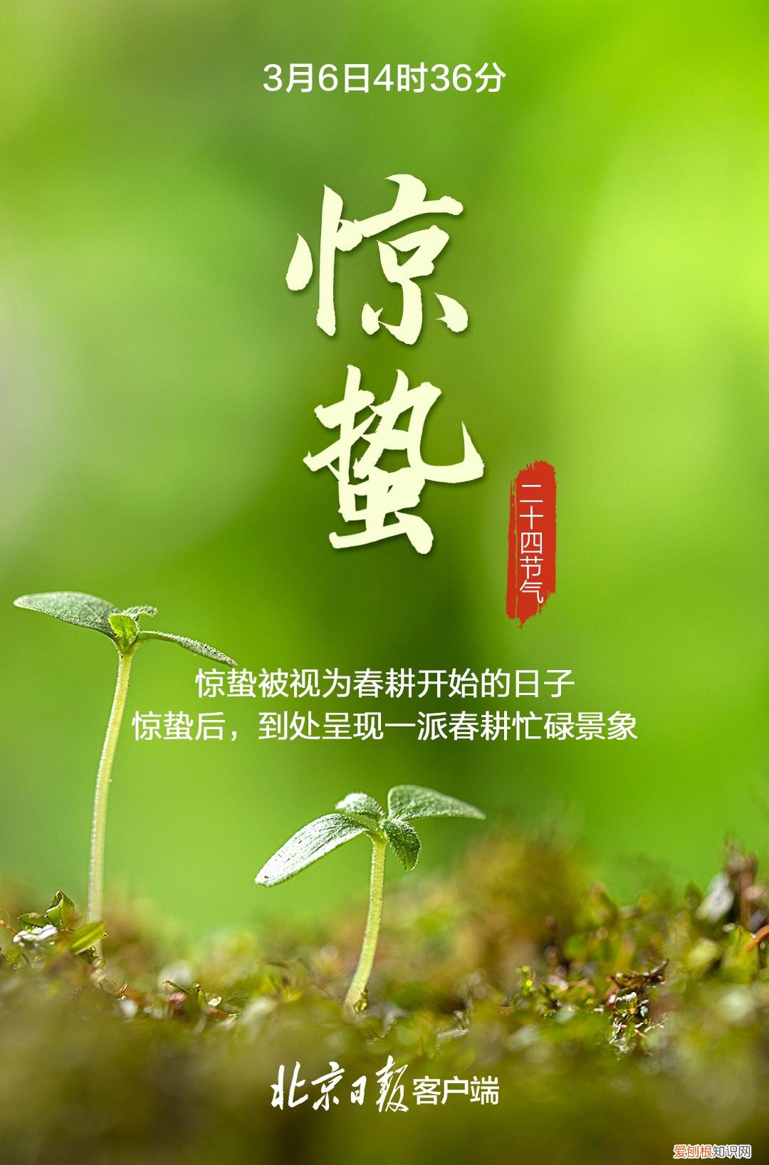 今日惊蛰！