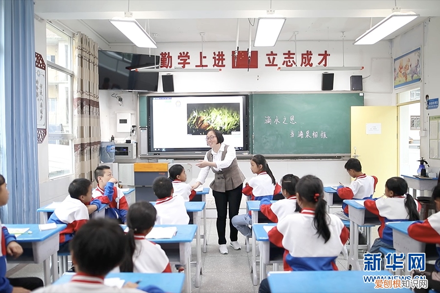 雷望红：中小学“教师退出机制”来临，时代不再容许教师“躺平”）