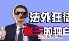 法外狂徒搞笑名字，法外狂徒张三脱口秀是第几期