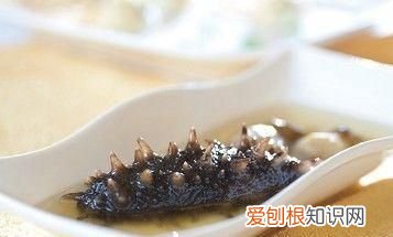 大乌参哪些人不能吃,大乌参和海参的区别